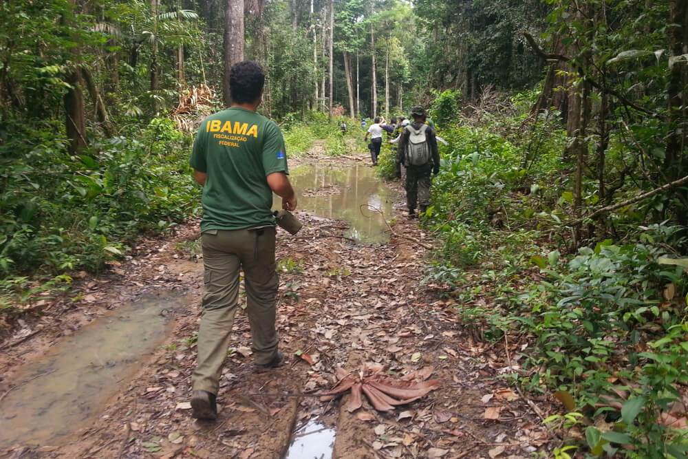 Ibama barra nova usina na Amazônia
